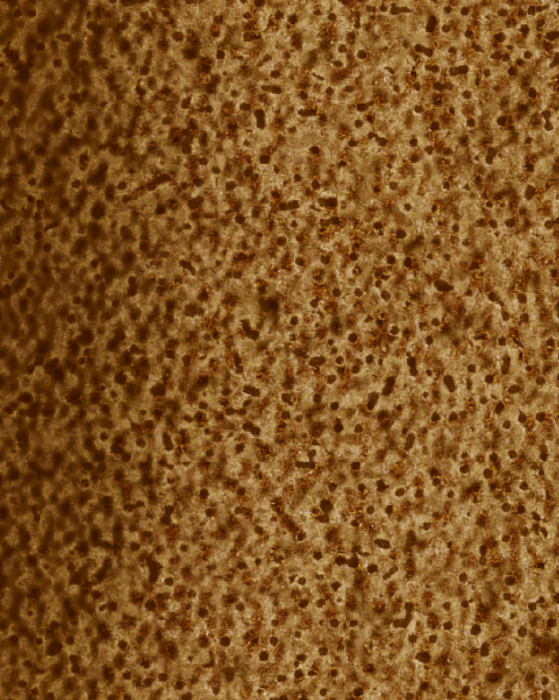 Image du produit 13