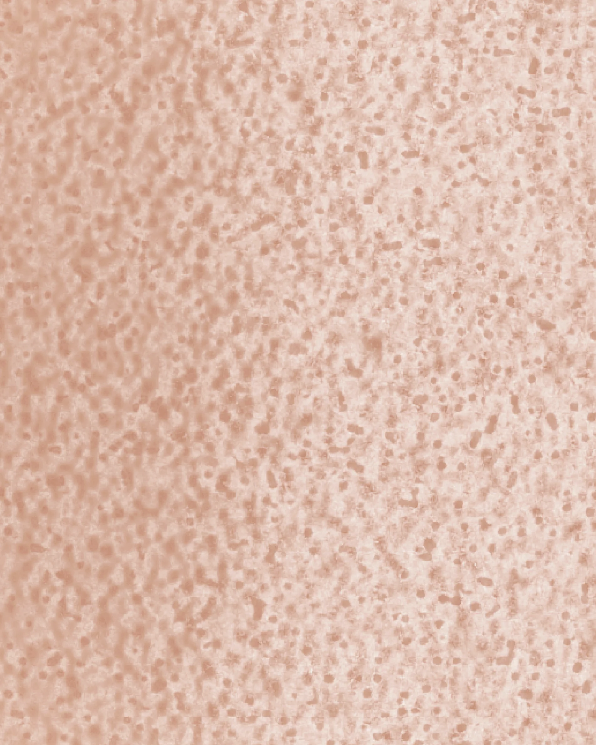 Image du produit 15