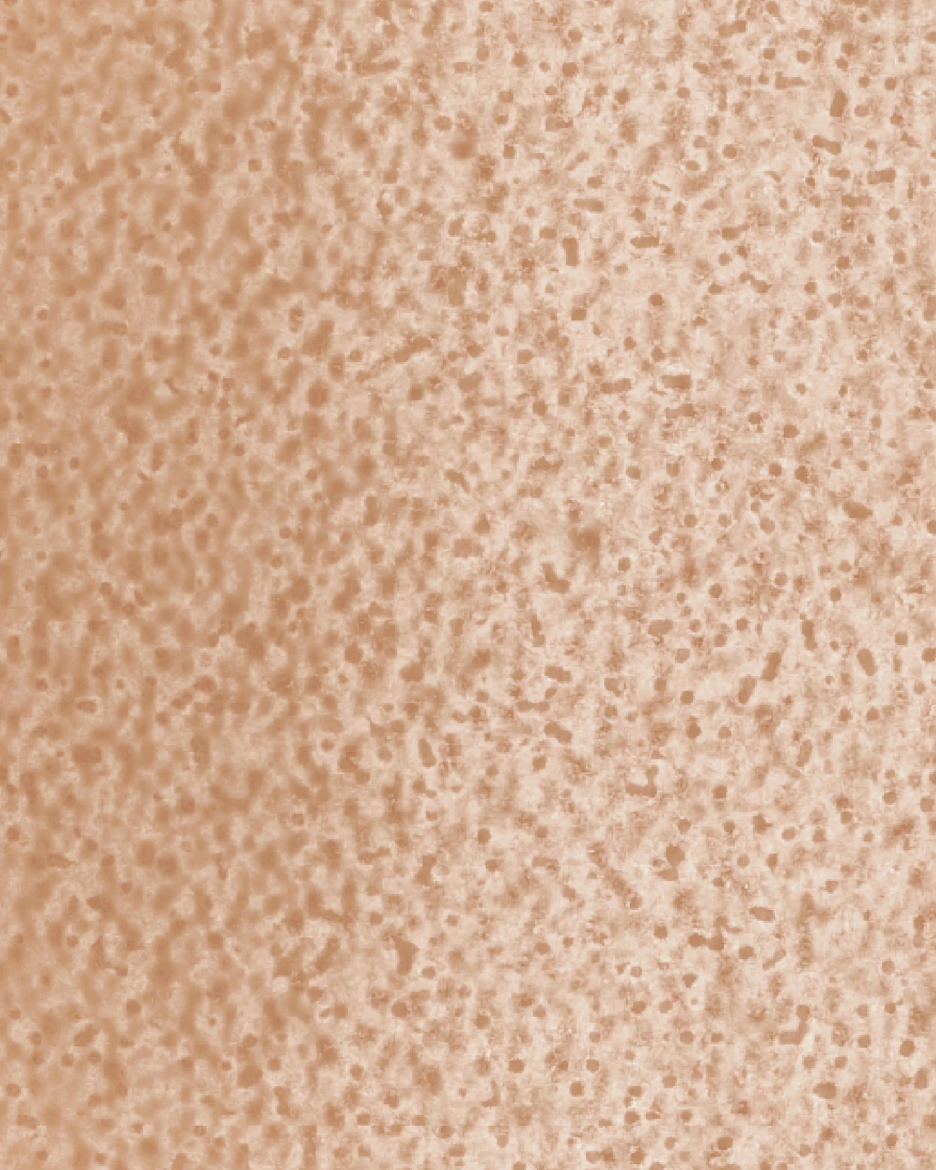 Image du produit 16