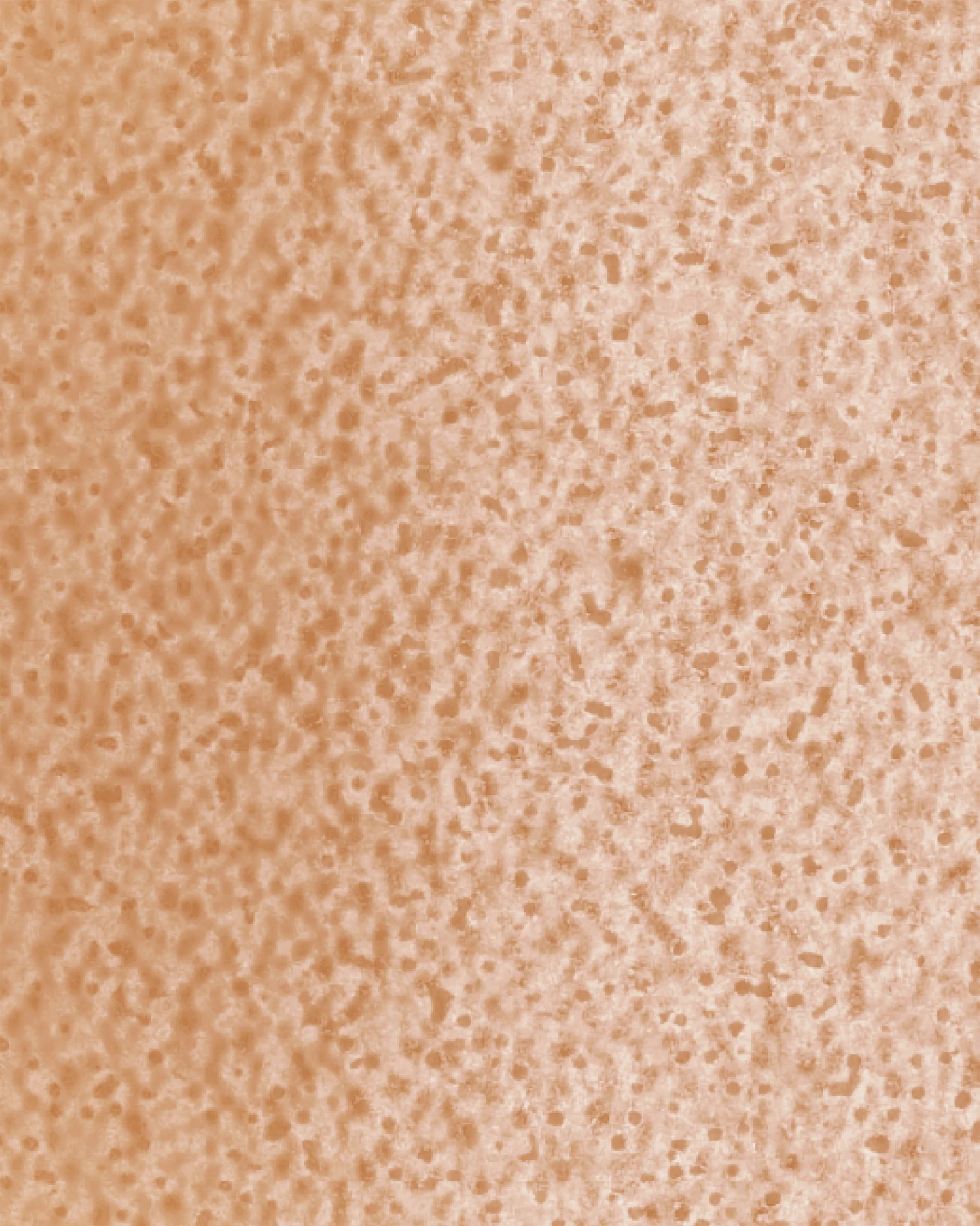 Image du produit 20