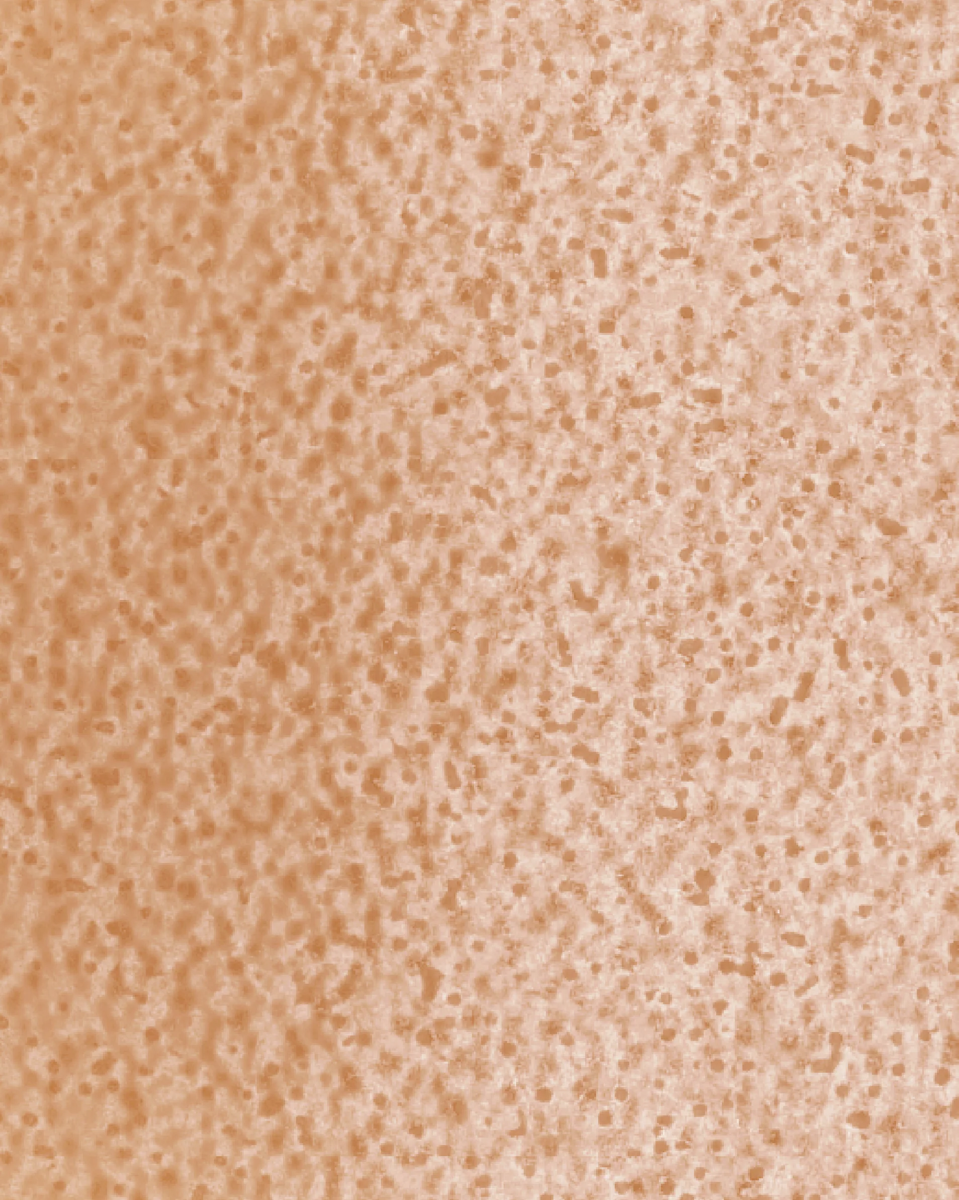 Image du produit 22