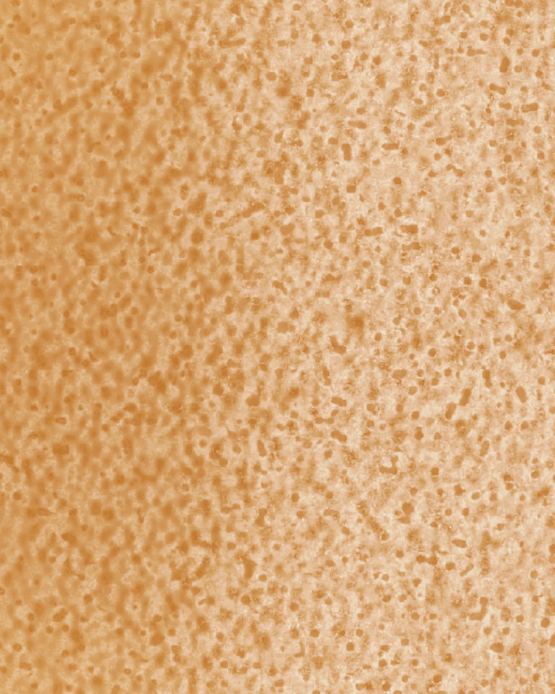 Image du produit 23