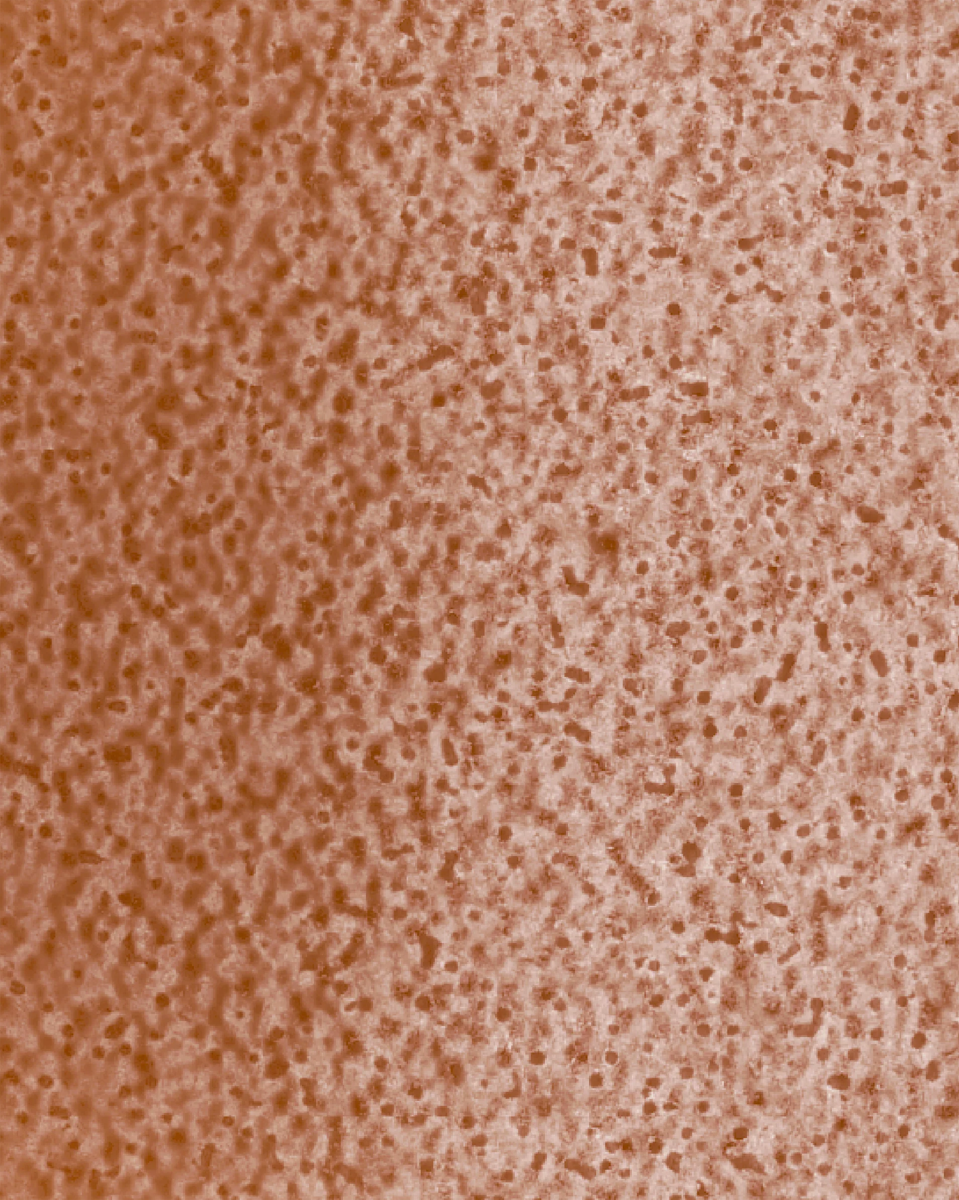Image du produit 25