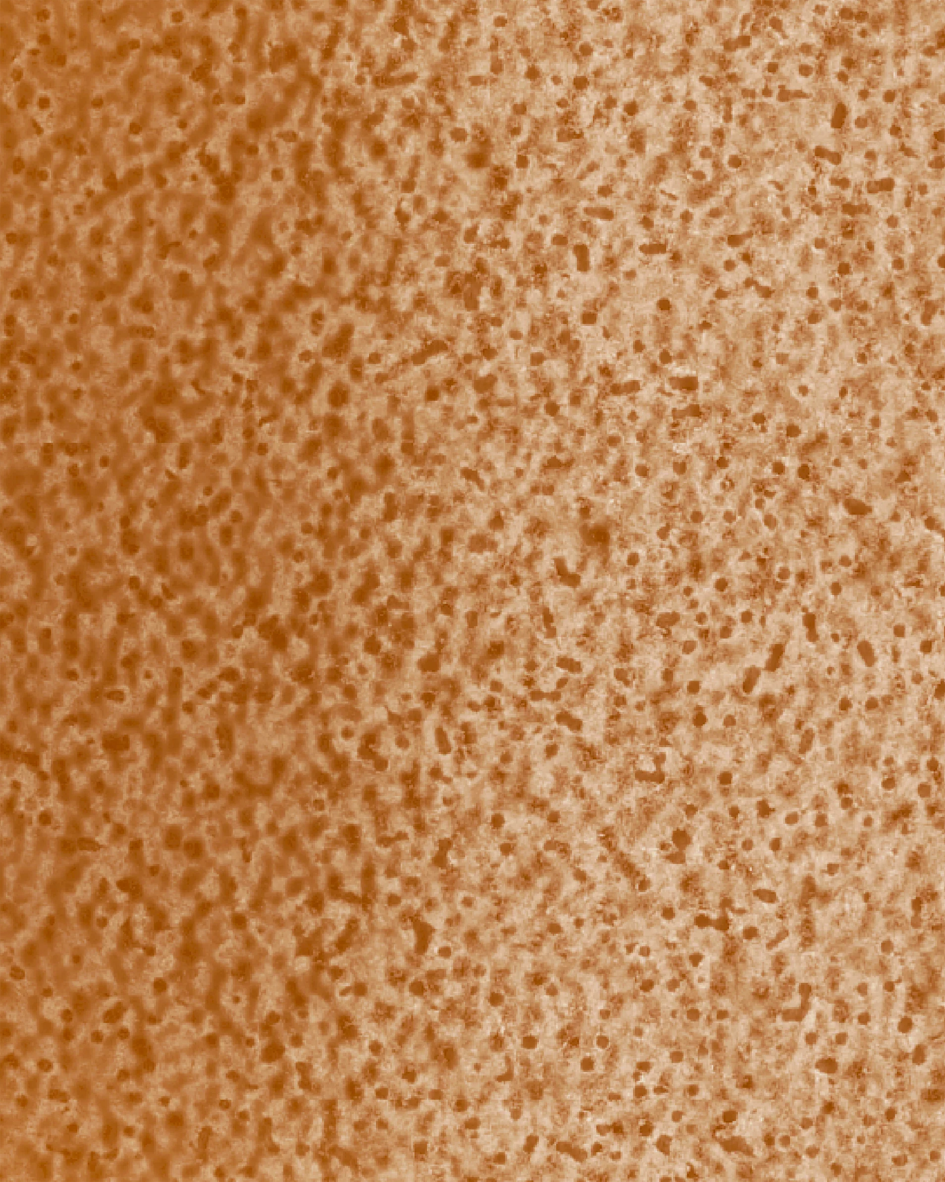 Image du produit 29