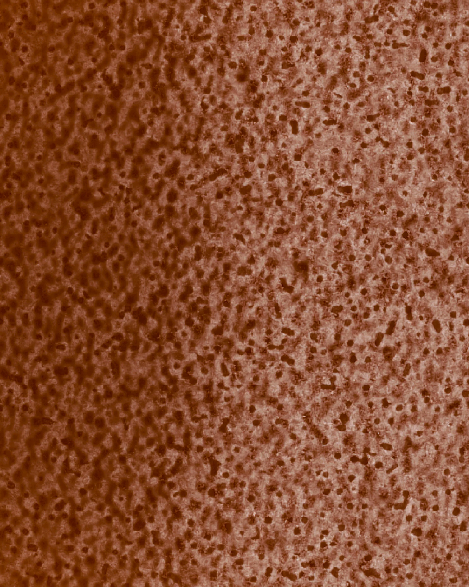 Image du produit 32