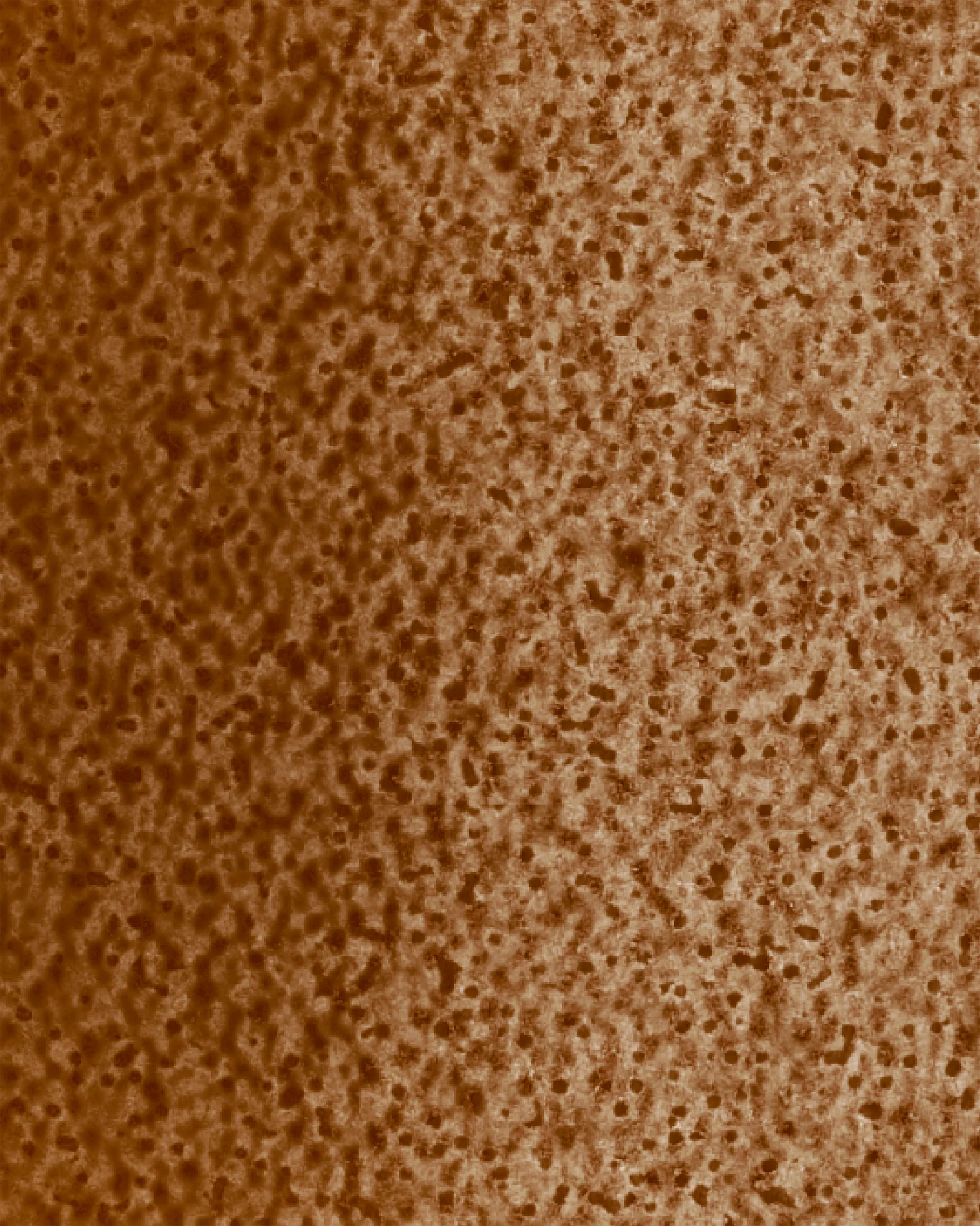 Image du produit 33