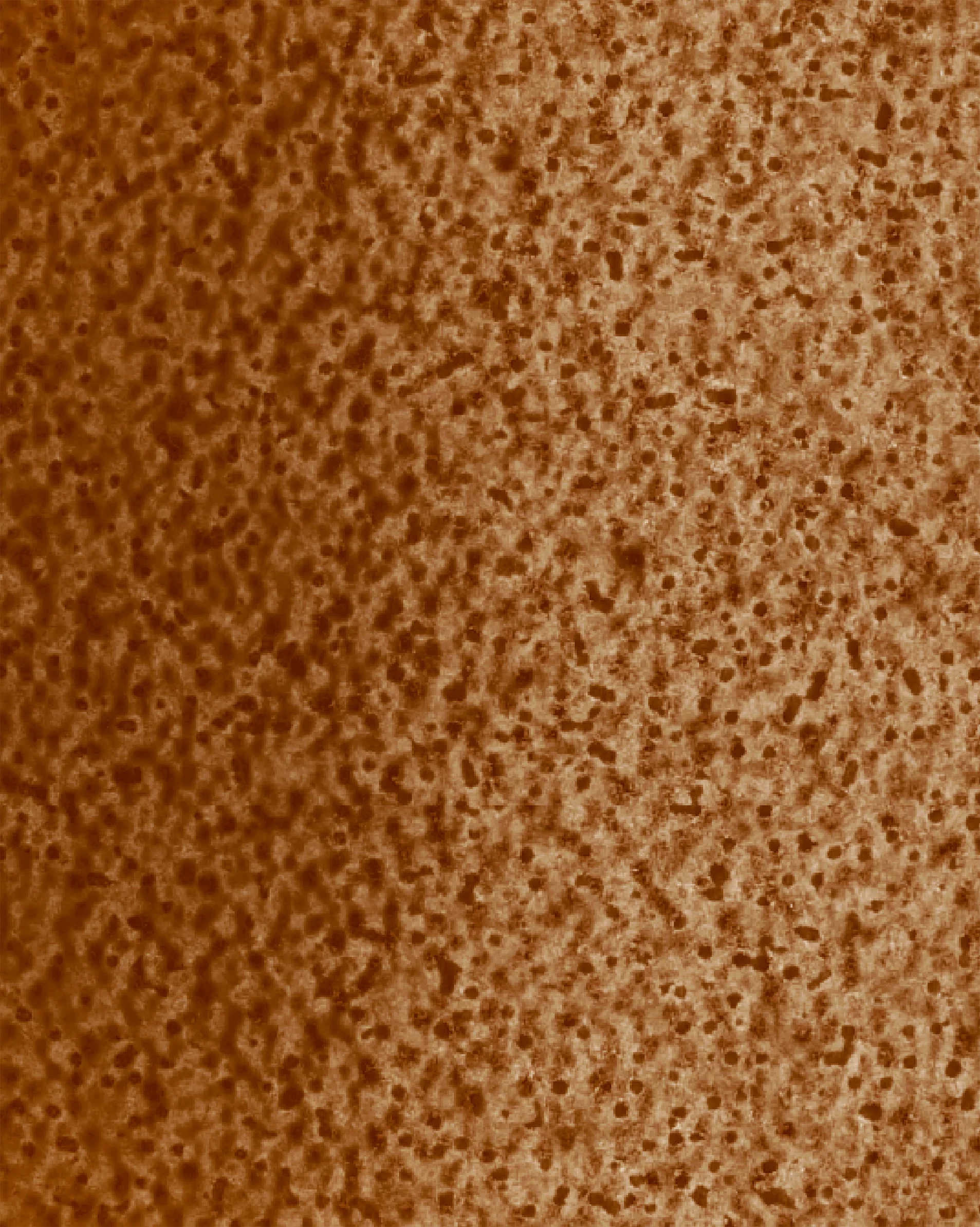 Image du produit 34