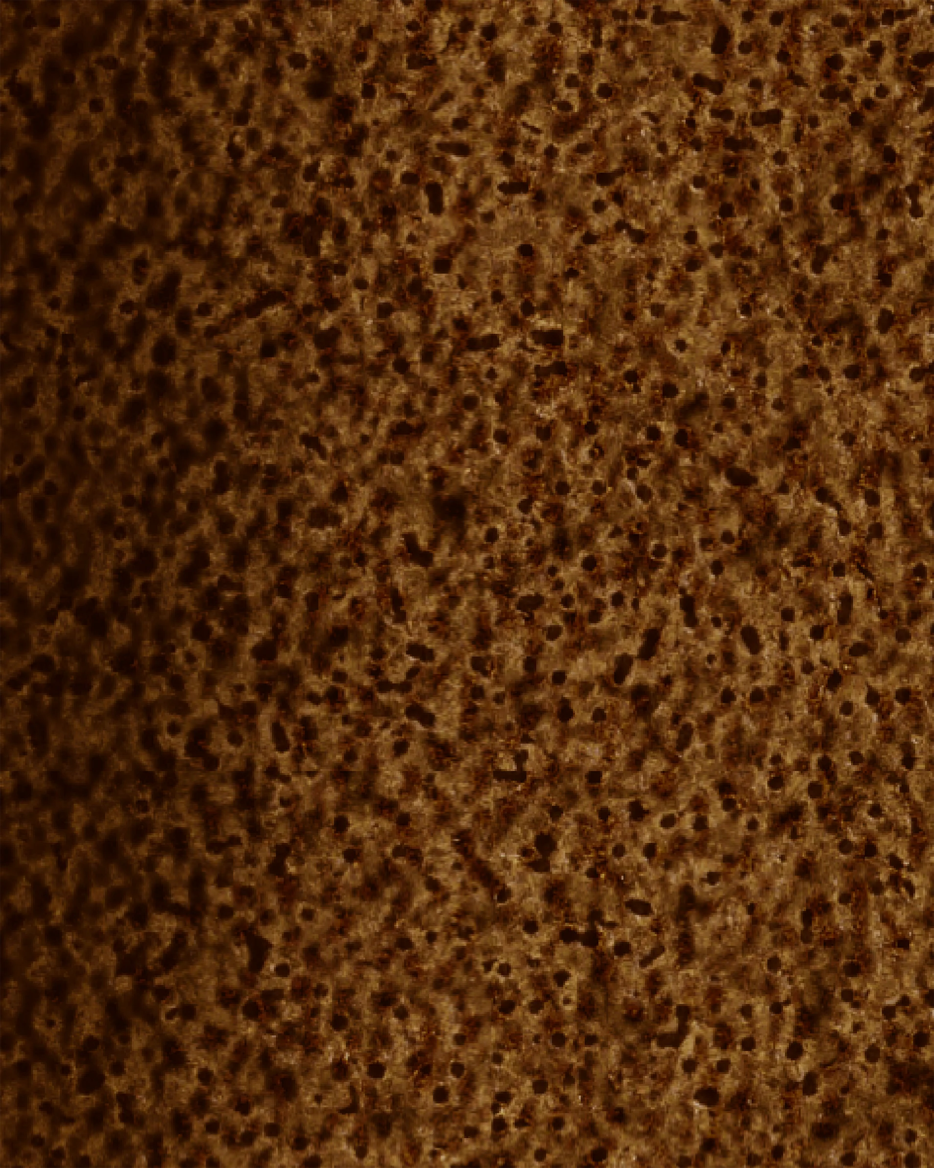 Image du produit 42
