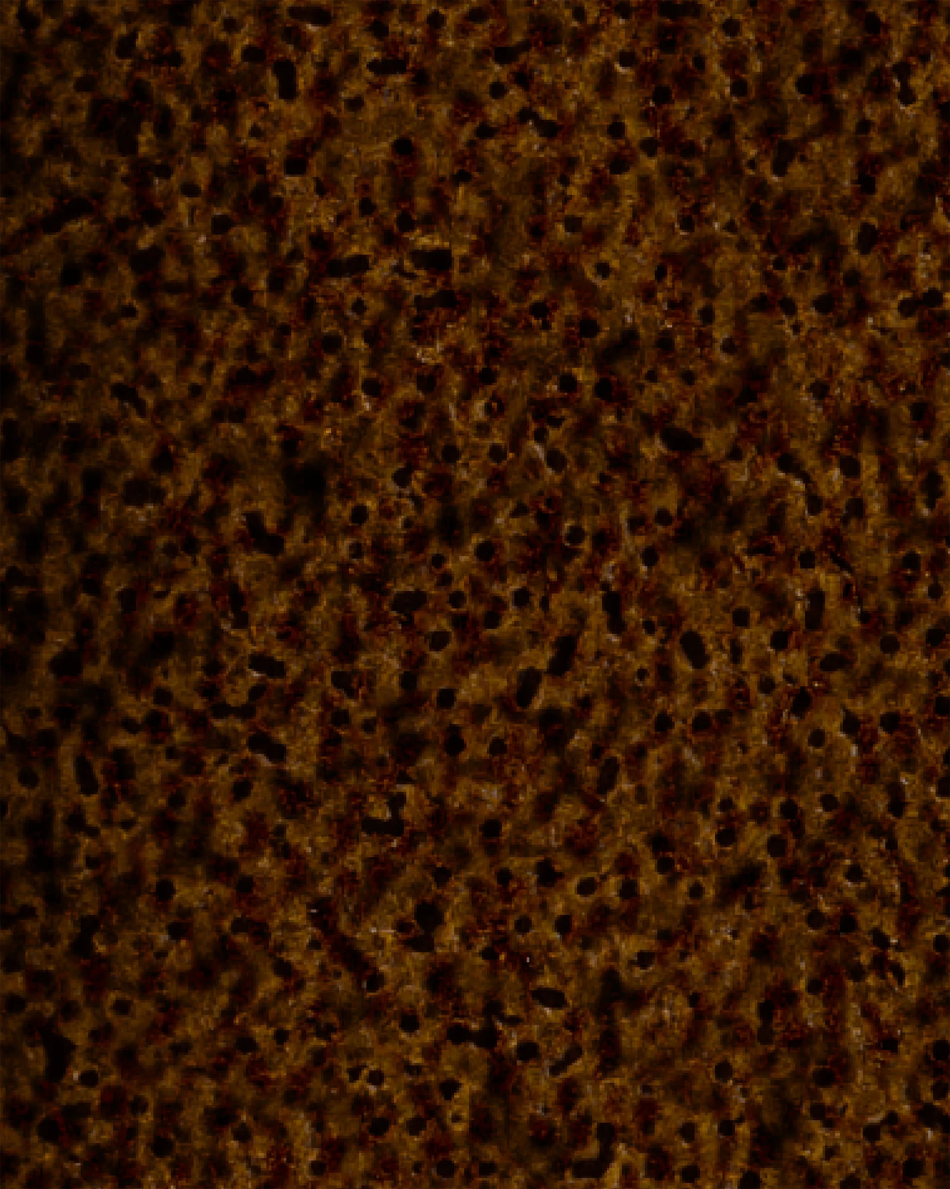 Image du produit 46