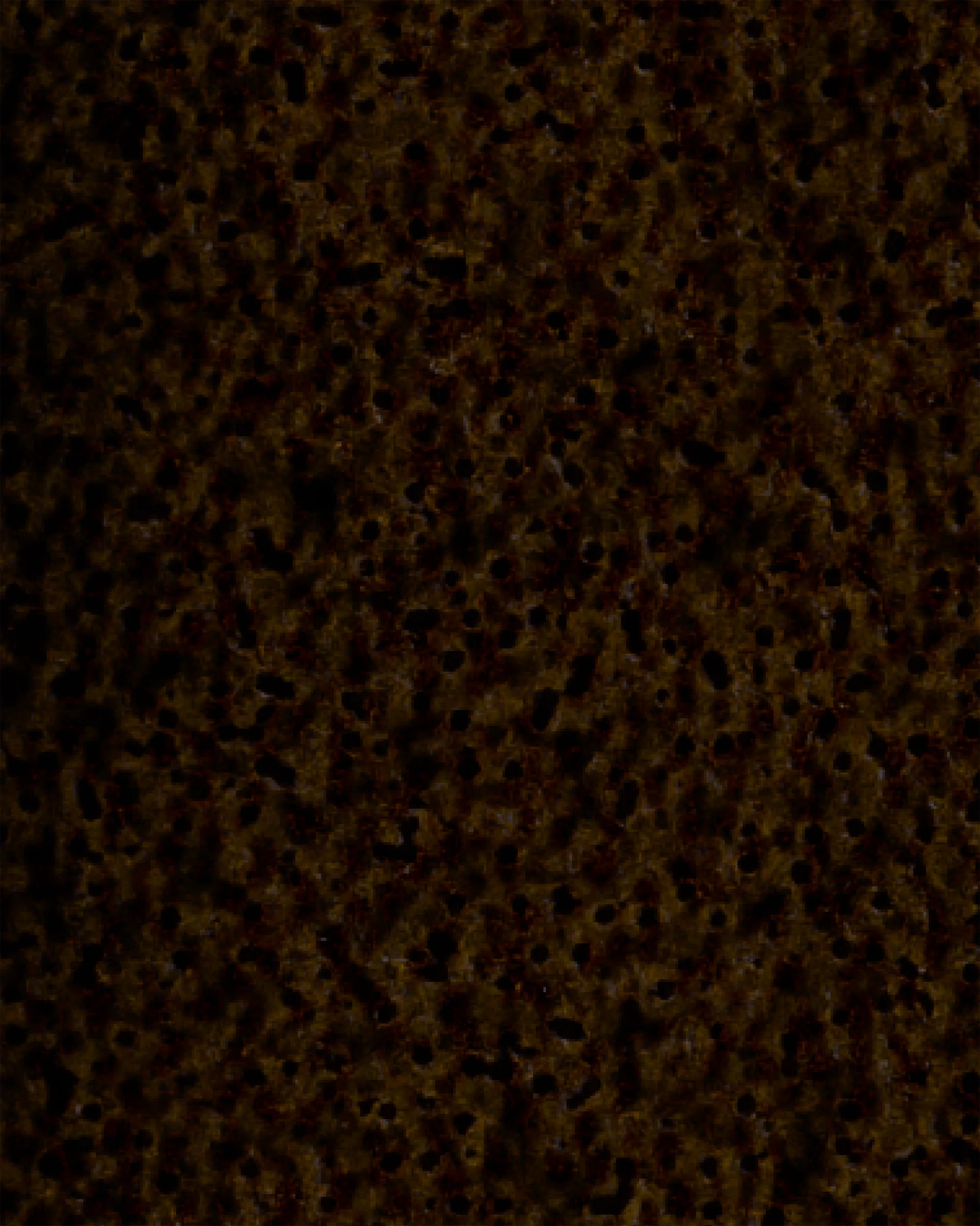 Image du produit 49