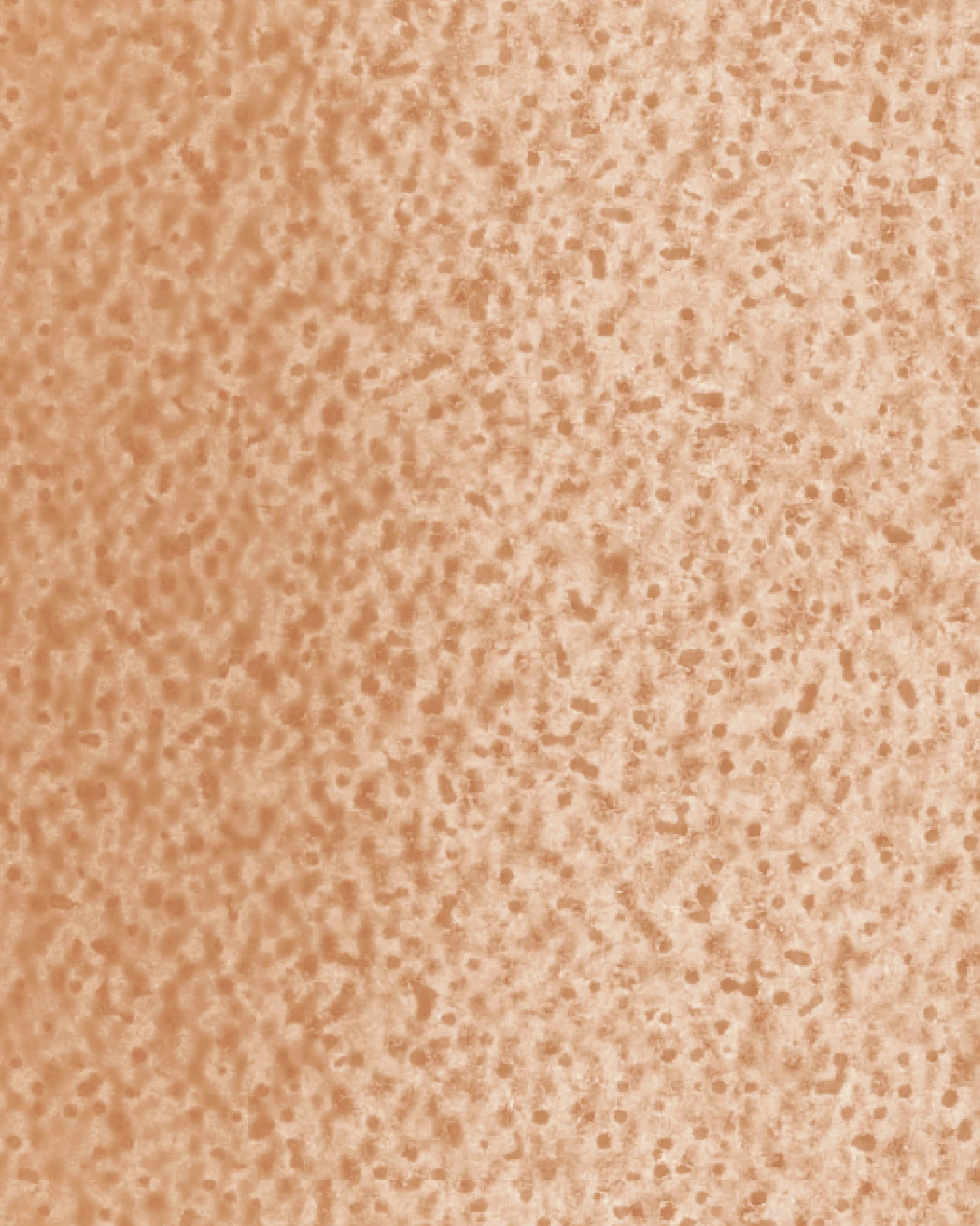 Image du produit 54